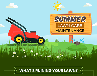 Summer Lawn Care Maintenance