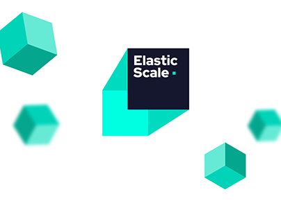 Elastic Scale