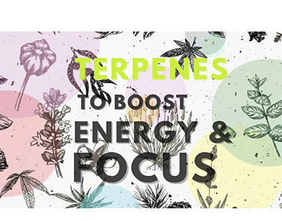 Terpenes To Boost Energy And Focus