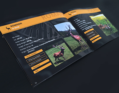 XCELL Wild game - brochure