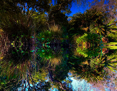 Mirror at the pond