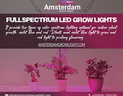 Promote plant growth with indoor grow lights