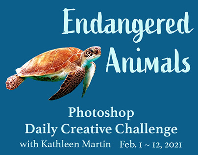 Photoshop Daily Creative Challenge - February 1~12