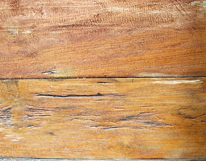 Photo of a Beautiful Wood Texture Background