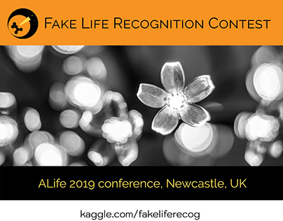 Fake Life Recognition Contest, ALife 2019