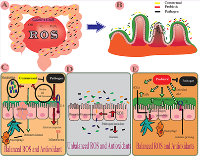 ROLE OF MICROBES IN INTESTINE