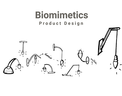 Product Design / Biomimetics