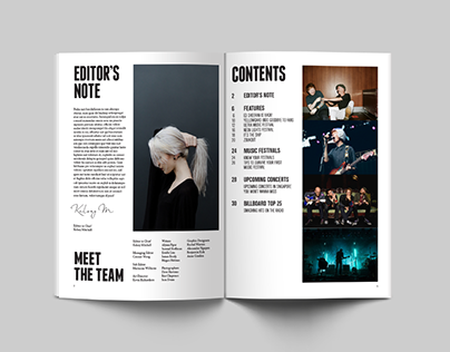 Publication Design -Independent Music Magazine