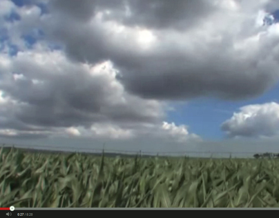 Video | Comércio Electrónico em Agricultura - "COTR"
