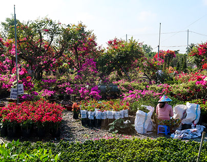 Sa Dec flower village in Mekong Delta - Vietnam