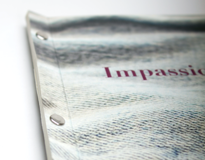 Impassioned: Jeans, Concept Publication