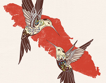 Project thumbnail - Vancouver Island& hummingbirds