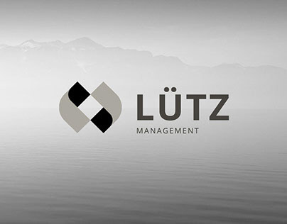 Lütz Management ReDesign 2013