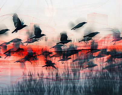 Birdsong Abstract