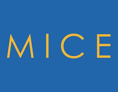 MICE Corporate Identity Presentation
