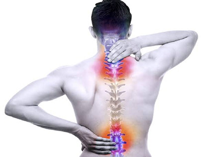 Spines, back pain -Cordus