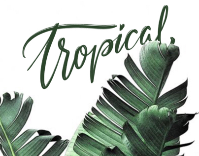 Dailytype "tropical"