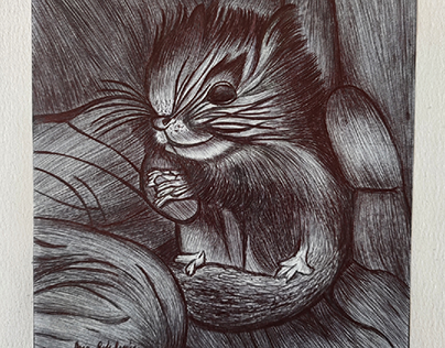Baby Squirrel Biro Drawing