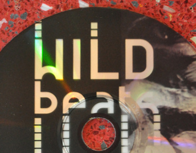 Wild Album