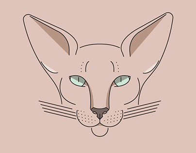 Minimalist colored animal illustration (cat)