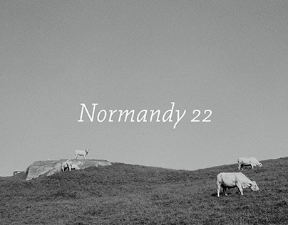 Normandy 22