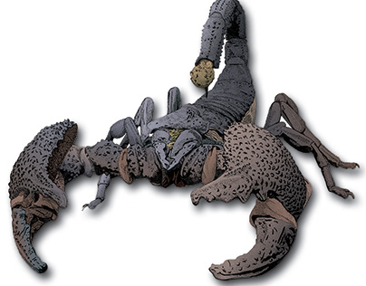 Project thumbnail - Illustrated Scorpion