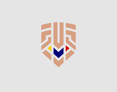 Rebranding del escudo de la FVF