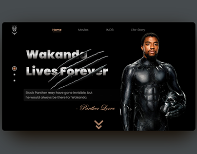 Black Panther tribute website hero section design