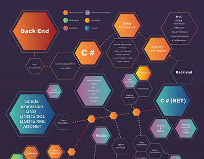 Road Map for Programmer Career (Coder) infographic