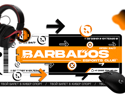 BARBADOS - оформление соц. сети компьютерного клуба