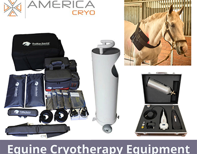 Equine Cryotherapy Equipment
