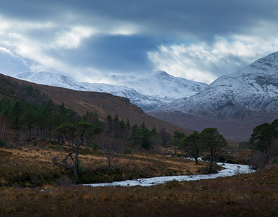 Scottish Landscape & Wildlife in Winter