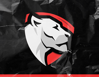 Lioness Esports Logo Project