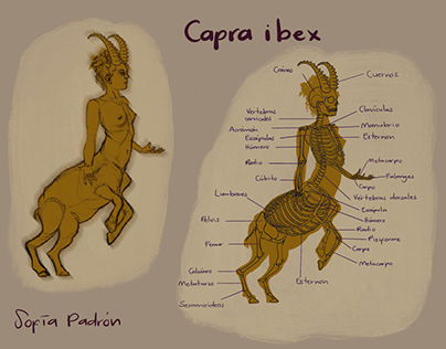 Capra Ibex diseño de centauro