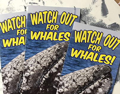 Gray Whale Brochure