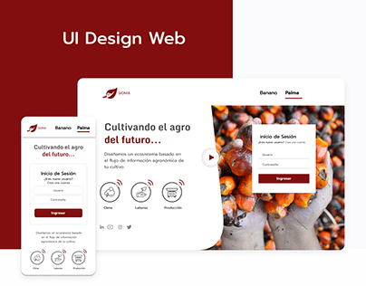 UI Design Web
