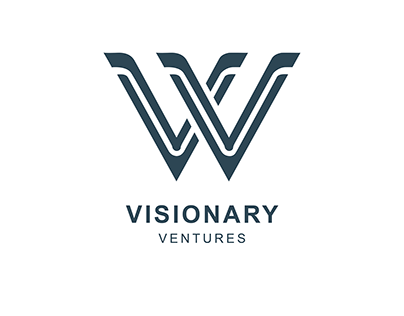 Visionary Venturs - Visual identity