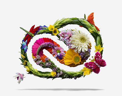 Adobe Creative Cloud x Natura Insects
