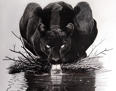 black Panther 2