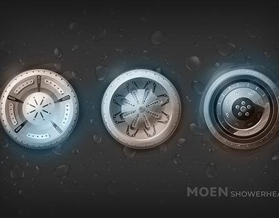 Moen Showerhead Mini Project