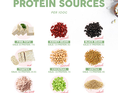 Nutrition Infographic- Protein Sources