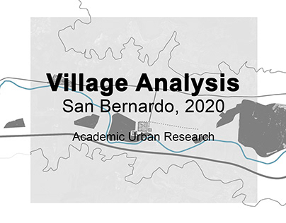 Village Analysis (2020)