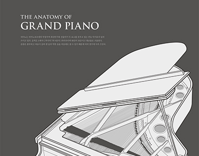 THE ANATOMY OF GRAND PIANO