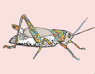 Grasshopper Study