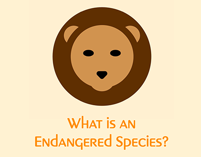 Endangered Animals Infographic Animation