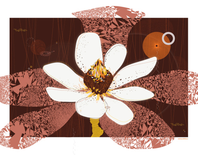 The “Magnolia Nova” series | Prints | andreacobb