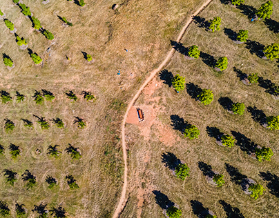 Practicing with a drone, National Arboretum, Jan 2021