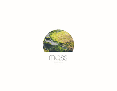 Project thumbnail - MOSS Consultants & Capital