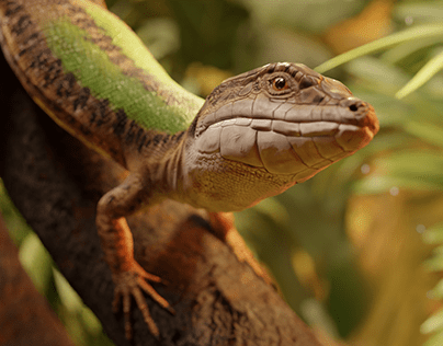 Lizard | Podarcis Sicula