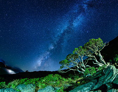 Nature's Whisper in Milky Way